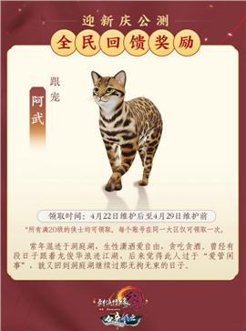 天龙八部私服机甲宝宝